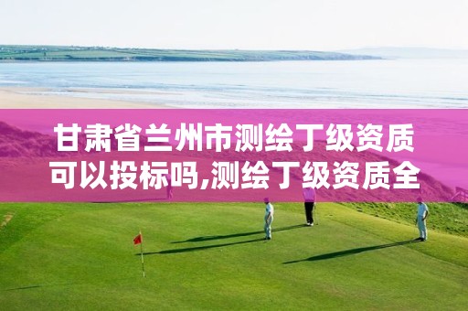 甘肃省兰州市测绘丁级资质可以投标吗,测绘丁级资质全套申请文件