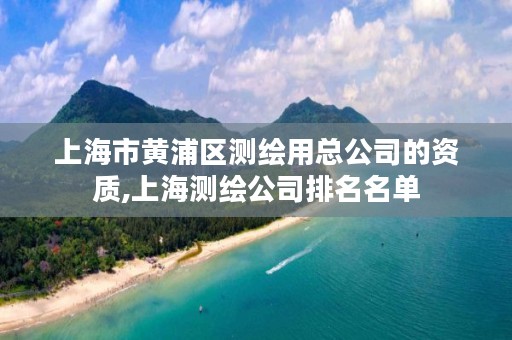 上海市黄浦区测绘用总公司的资质,上海测绘公司排名名单