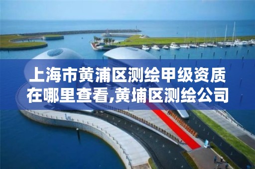 上海市黄浦区测绘甲级资质在哪里查看,黄埔区测绘公司