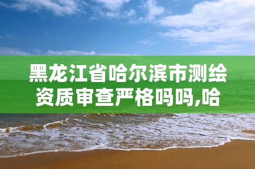 黑龙江省哈尔滨市测绘资质审查严格吗吗,哈尔滨测绘局是干什么的