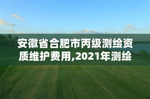 安徽省合肥市丙级测绘资质维护费用,2021年测绘资质丙级申报条件