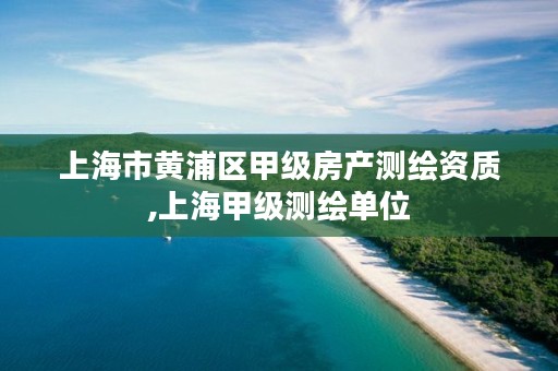 上海市黄浦区甲级房产测绘资质,上海甲级测绘单位