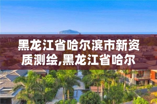 黑龙江省哈尔滨市新资质测绘,黑龙江省哈尔滨市测绘局