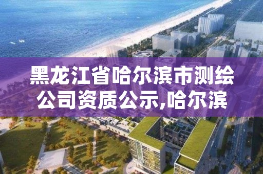 黑龙江省哈尔滨市测绘公司资质公示,哈尔滨土地测绘公司