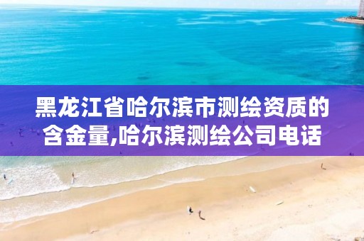 黑龙江省哈尔滨市测绘资质的含金量,哈尔滨测绘公司电话