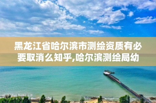 黑龙江省哈尔滨市测绘资质有必要取消么知乎,哈尔滨测绘局幼儿园是民办还是公办