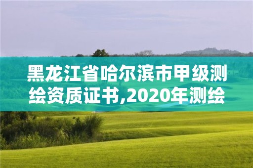 黑龙江省哈尔滨市甲级测绘资质证书,2020年测绘甲级资质条件