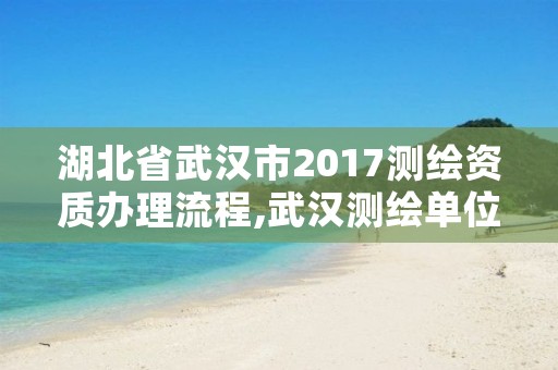 湖北省武汉市2017测绘资质办理流程,武汉测绘单位