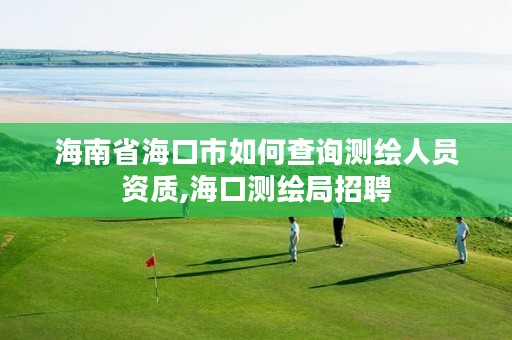 海南省海口市如何查询测绘人员资质,海口测绘局招聘