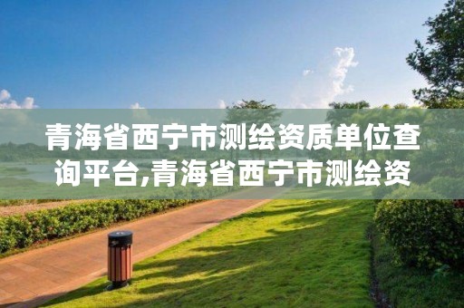 青海省西宁市测绘资质单位查询平台,青海省西宁市测绘资质单位查询平台官网