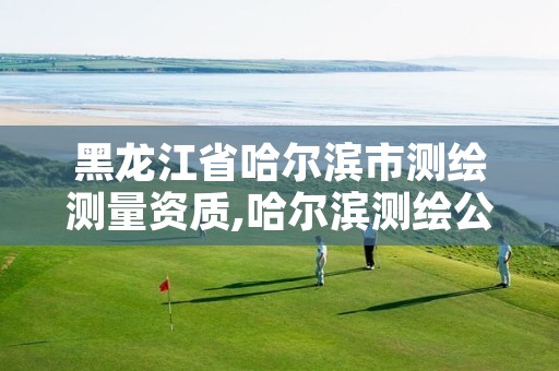 黑龙江省哈尔滨市测绘测量资质,哈尔滨测绘公司电话