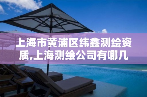 上海市黄浦区纬鑫测绘资质,上海测绘公司有哪几家