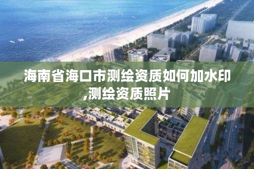 海南省海口市测绘资质如何加水印,测绘资质照片