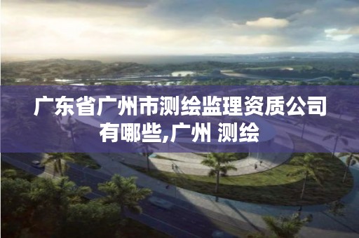 广东省广州市测绘监理资质公司有哪些,广州 测绘