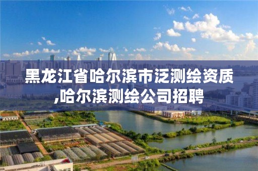 黑龙江省哈尔滨市泛测绘资质,哈尔滨测绘公司招聘