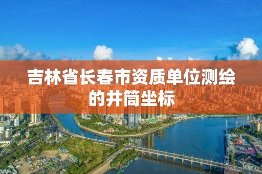 吉林省长春市资质单位测绘的井筒坐标