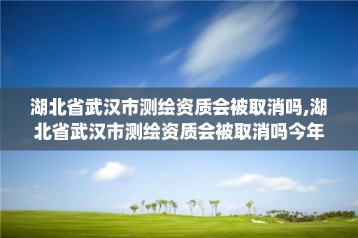 湖北省武汉市测绘资质会被取消吗,湖北省武汉市测绘资质会被取消吗今年