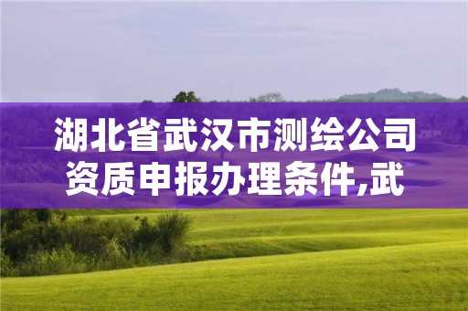 湖北省武汉市测绘公司资质申报办理条件,武汉测绘公司招聘