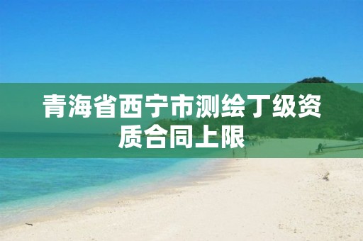 青海省西宁市测绘丁级资质合同上限