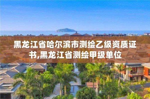 黑龙江省哈尔滨市测绘乙级资质证书,黑龙江省测绘甲级单位