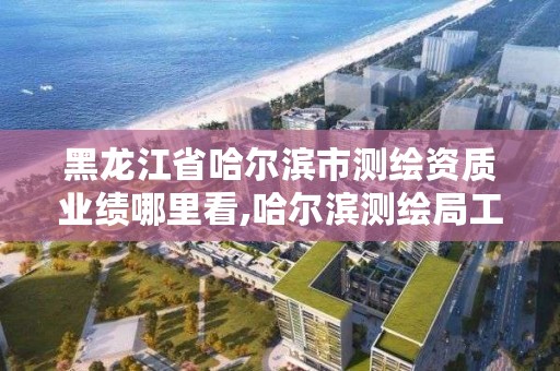 黑龙江省哈尔滨市测绘资质业绩哪里看,哈尔滨测绘局工资怎么样