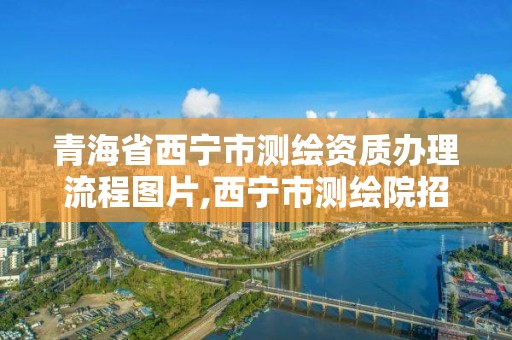 青海省西宁市测绘资质办理流程图片,西宁市测绘院招聘公示