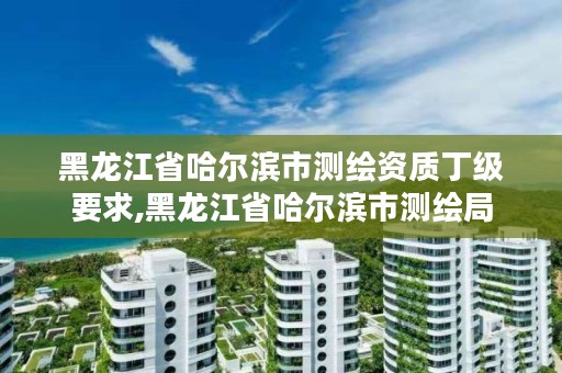 黑龙江省哈尔滨市测绘资质丁级要求,黑龙江省哈尔滨市测绘局