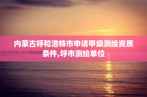 内蒙古呼和浩特市申请甲级测绘资质条件,呼市测绘单位