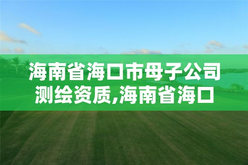 海南省海口市母子公司测绘资质,海南省海口市母子公司测绘资质查询