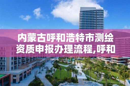 内蒙古呼和浩特市测绘资质申报办理流程,呼和浩特测绘有限公司