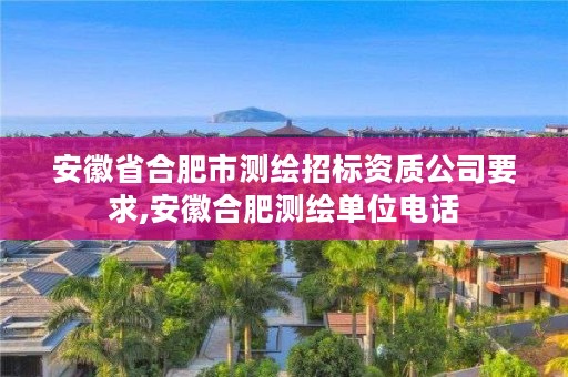 安徽省合肥市测绘招标资质公司要求,安徽合肥测绘单位电话