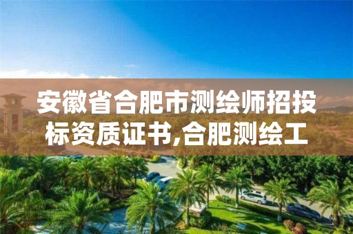 安徽省合肥市测绘师招投标资质证书,合肥测绘工程师