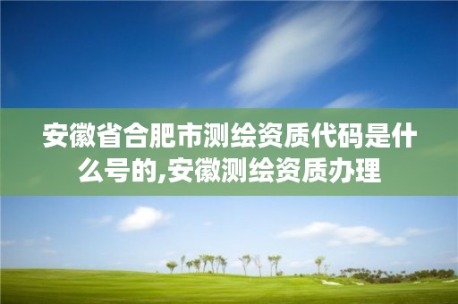 安徽省合肥市测绘资质代码是什么号的,安徽测绘资质办理