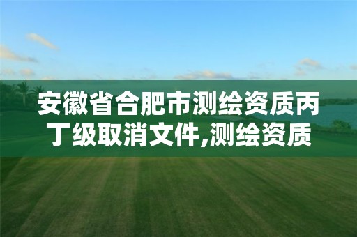 安徽省合肥市测绘资质丙丁级取消文件,测绘资质取消丙丁级怎么办