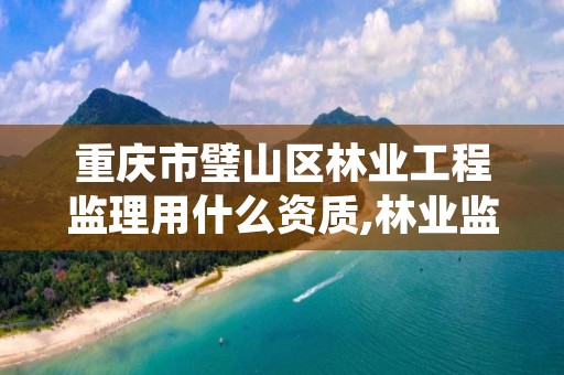 重庆市璧山区林业工程监理用什么资质,林业监理资料整理目录