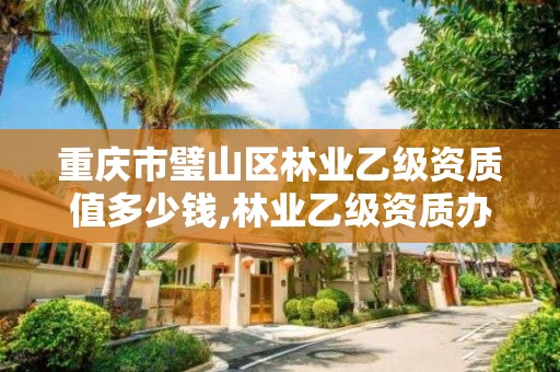 重庆市璧山区林业乙级资质值多少钱,林业乙级资质办理条件