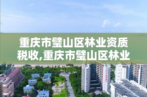 重庆市璧山区林业资质税收,重庆市璧山区林业资质税收优惠政策