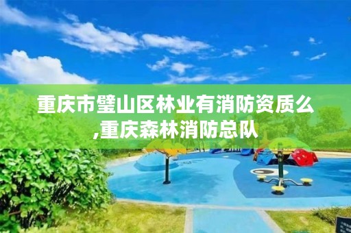 重庆市璧山区林业有消防资质么,重庆森林消防总队