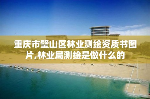 重庆市璧山区林业测绘资质书图片,林业局测绘是做什么的