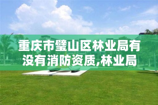 重庆市璧山区林业局有没有消防资质,林业局森林消防属于什么编制