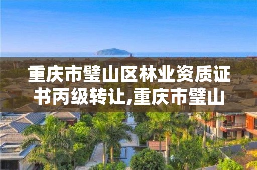 重庆市璧山区林业资质证书丙级转让,重庆市璧山区林业资质证书丙级转让公告