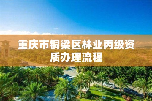 重庆市铜梁区林业丙级资质办理流程