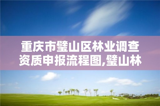 重庆市璧山区林业调查资质申报流程图,璧山林业局在哪里