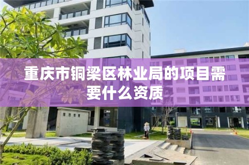 重庆市铜梁区林业局的项目需要什么资质