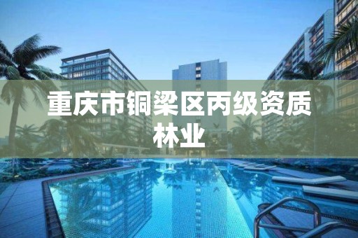 重庆市铜梁区丙级资质林业