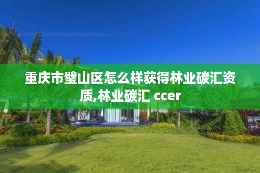 重庆市璧山区怎么样获得林业碳汇资质,林业碳汇 ccer