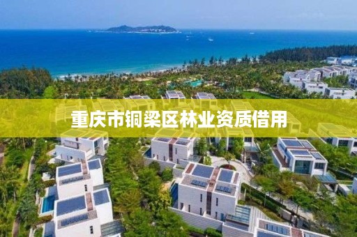 重庆市铜梁区林业资质借用