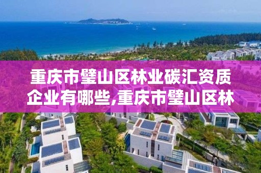 重庆市璧山区林业碳汇资质企业有哪些,重庆市璧山区林业碳汇资质企业有哪些