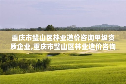 重庆市璧山区林业造价咨询甲级资质企业,重庆市璧山区林业造价咨询甲级资质企业名单