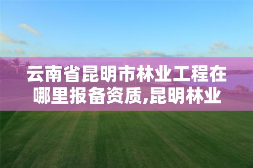 云南省昆明市林业工程在哪里报备资质,昆明林业局的电话号码